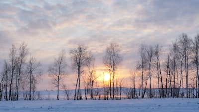 Саратов