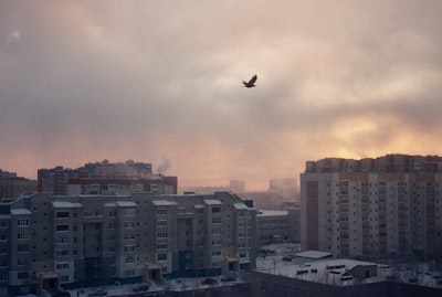 Сургут