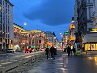 Вена